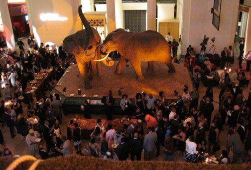 field-museum Opening reception at the Field Museum
