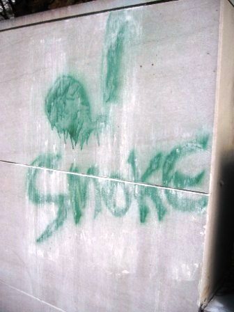 green Graffiti at garden wall of art museum
