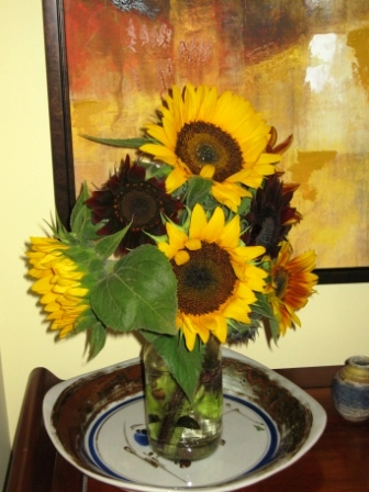 vickis-sunflowers Vicki Baumgartner brought these stunning sunflowers from her farm.