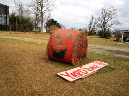 bale-of-hay Stop the car! (We did!)