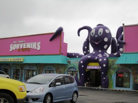 octopus1 My Thanksgiving memory: Gulf Shores, Ala.