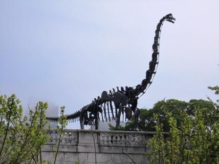 dino Hello!