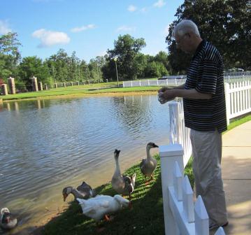 Alan feeds the geese and ducks during our recent visit to Live Oak Village.