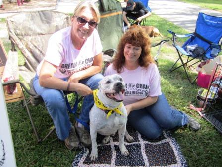 Over at the Pit Bull Rescue, we met 10-year-old Thor. The survivor of two kinds of cancer, he is a HABIT dog and visits the sick and elderly. His owner, Lisa Johnson, is at left. Jody Robertson is at right.