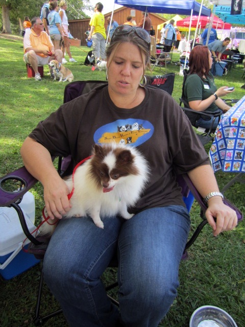 Razz is in the care of the Small Bread Rescue of East Tennessee. He is a 2-year-old pomeranian who was rescued from a puppy mill a few weeks ago. He is in the lap of volunteer Cherie Long.