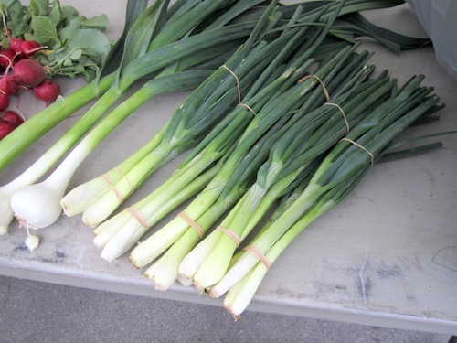 onions Aren't they beautiful?