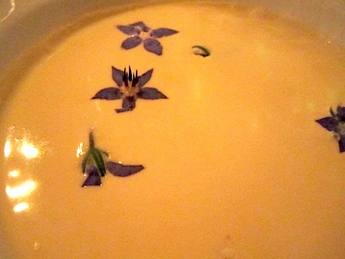 she-crab-soup-2 She crab soup. The soup and hushpuppies were paired with 2010 Simi Russian River reserve chardonnay.