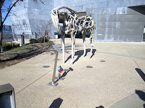 wooden-horse Outside the Hunter Museum, which was just across the street, we saw this wooden horse. Only it wasn't wood. Created by Deborah Butterfield, it was made of cast bronze with patina.