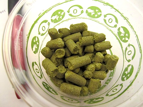 pellets Hops are introduced in pellet form.