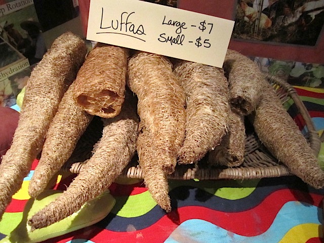 And who wouldn't want to see a luffa in his or her stocking?