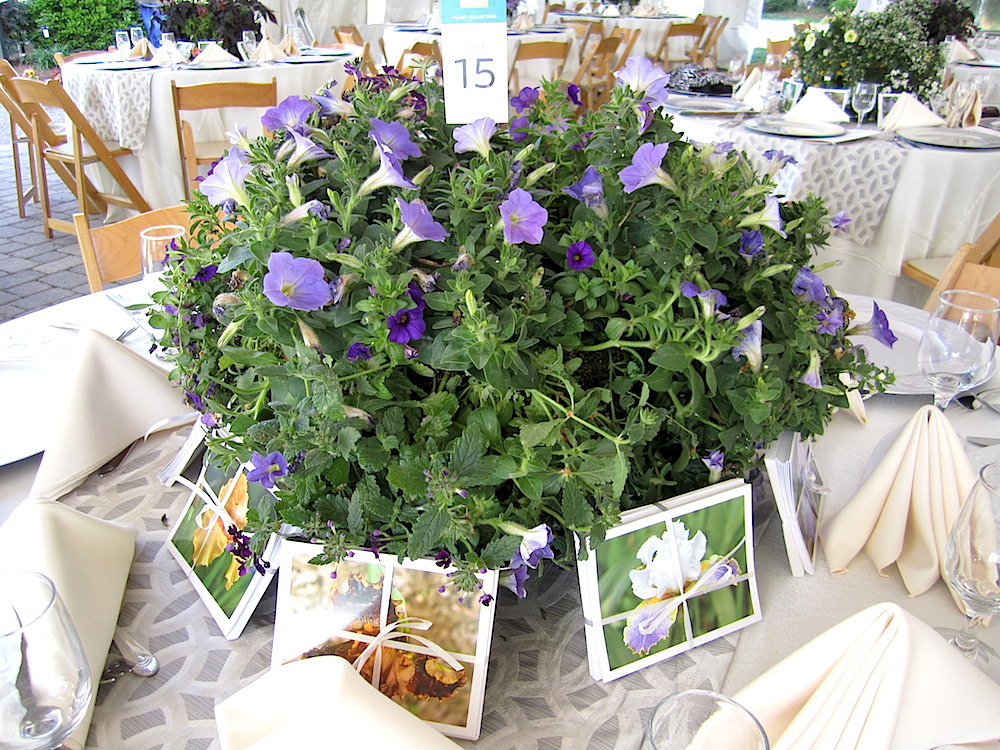 All the centerpieces were different.
