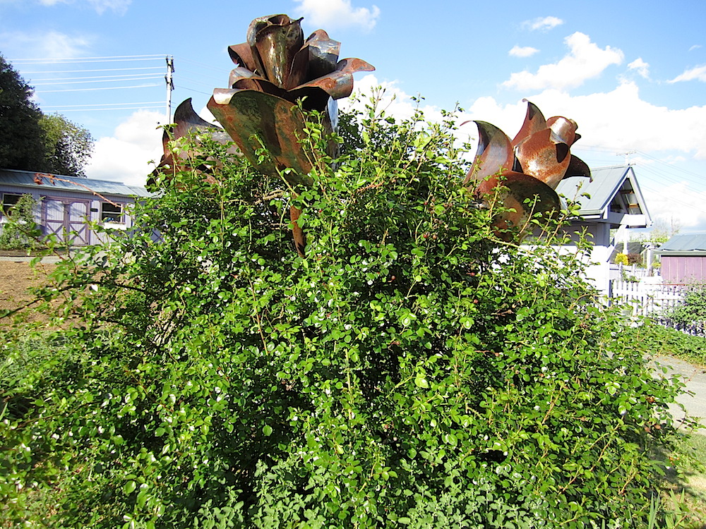 Iron roses in the rose garden.