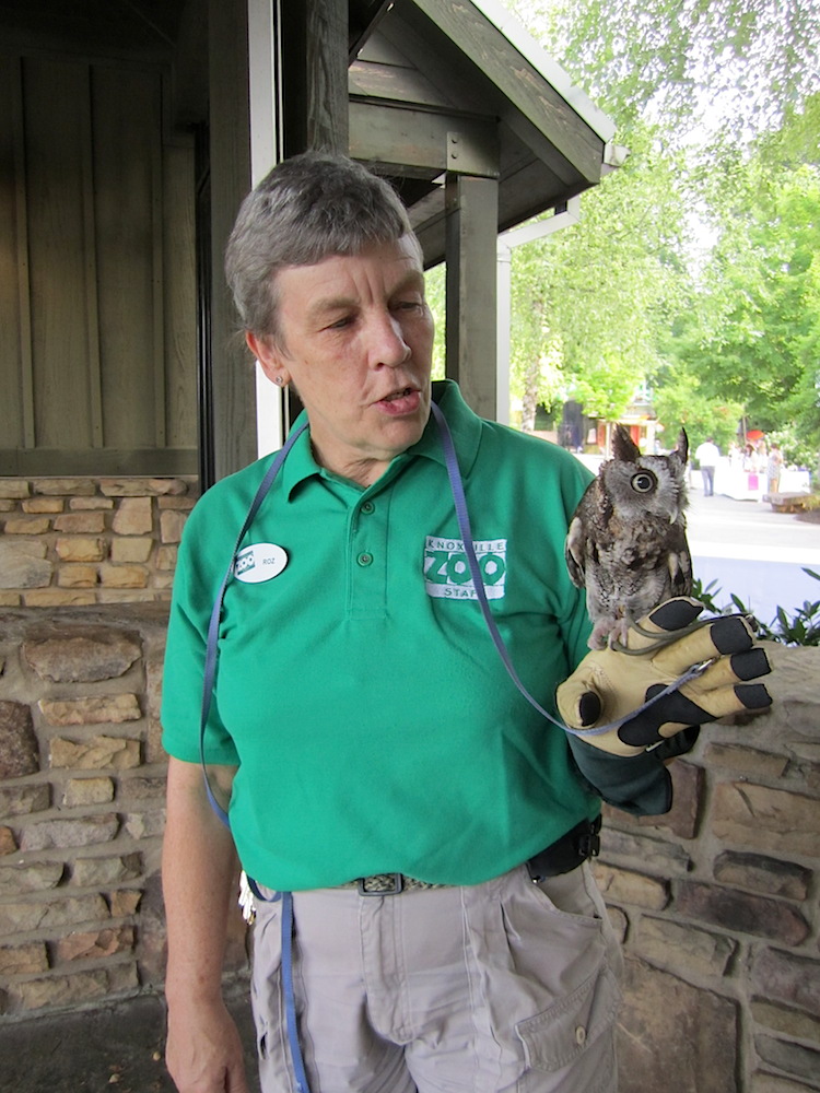 One of the more approachable animals, as far as I'm concerned.