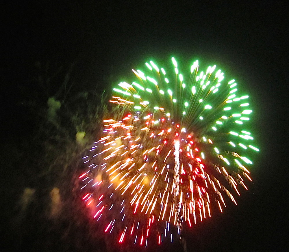 They were beautiful this year.