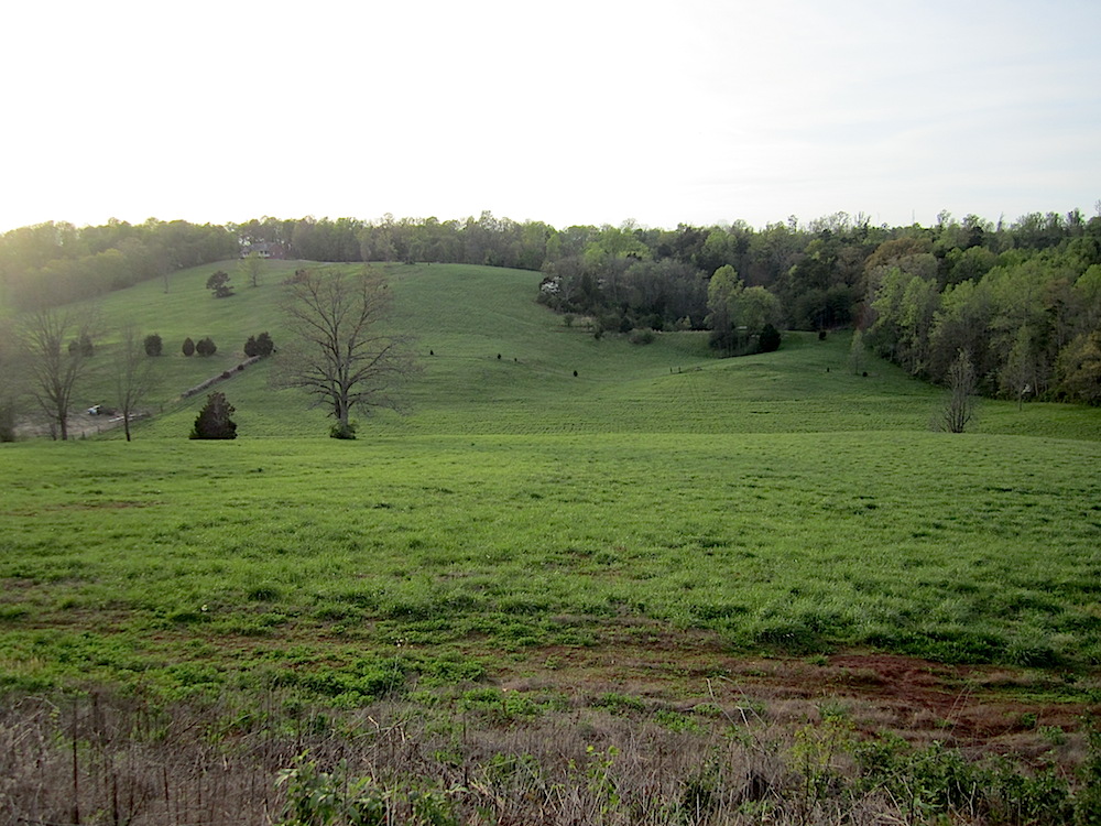 Here's the view when we went outside.