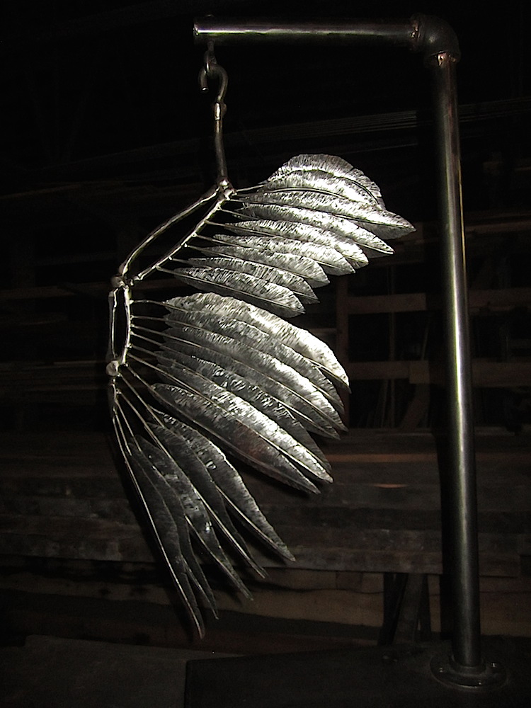 There are all kinds of cool things in the studio. Like these feathers.