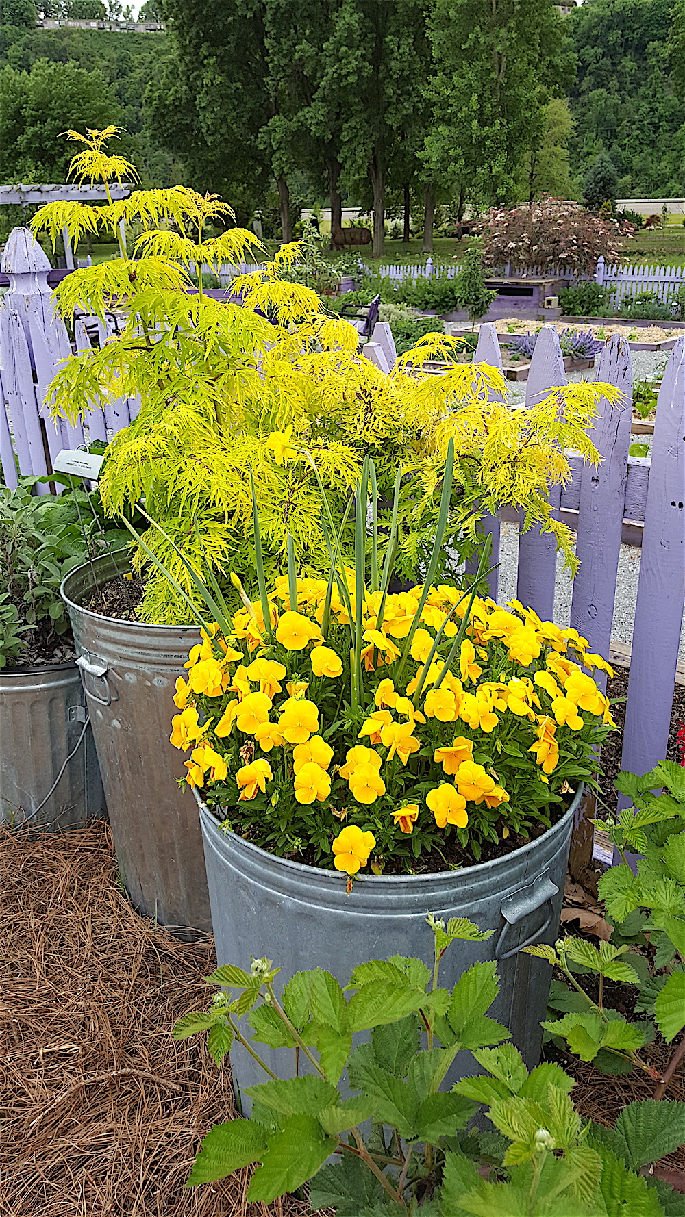 Even garbage cans can be beautiful.