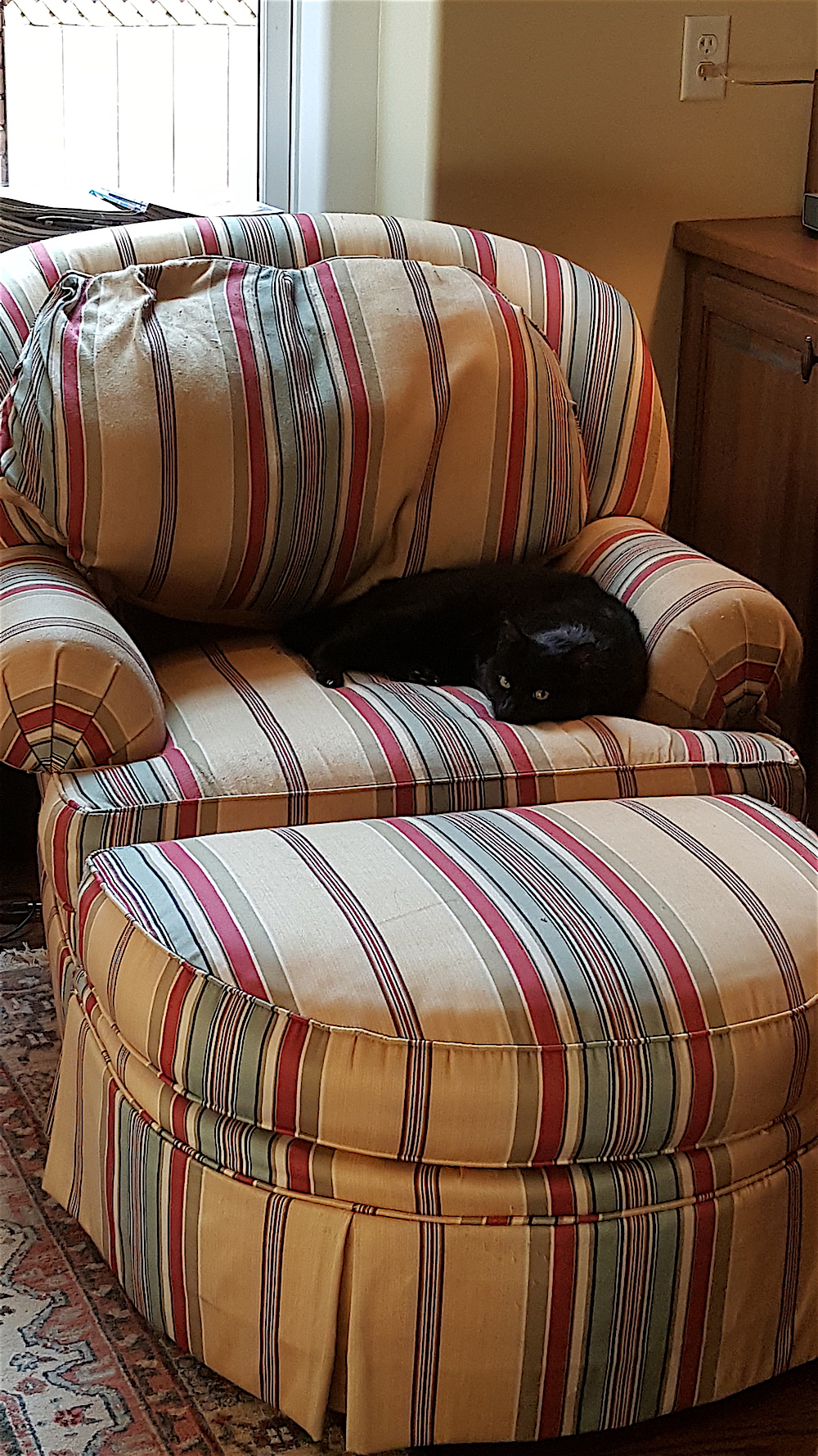 I don't think Buddy was too happy to have more than 100 folks traipsing through his home.