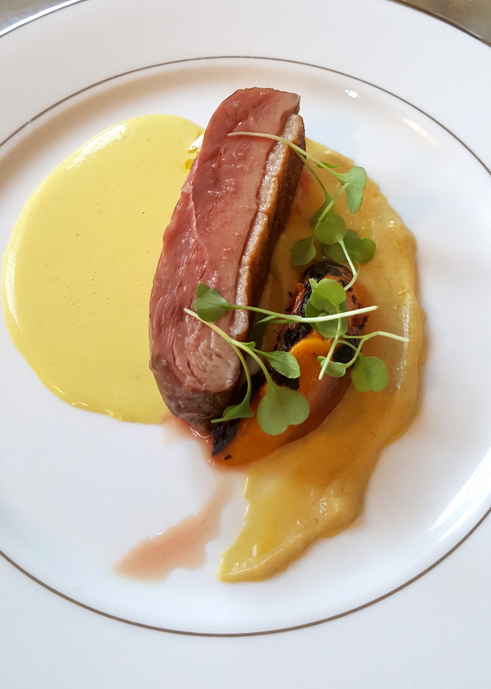 Dry aged duck breast with grilled peaches, foie gras and Vadouvan spiced sweet corn butter. Pairing was a 2013 Chateau D'Orshwir pinot gris "Bollenberg" from Alsace.