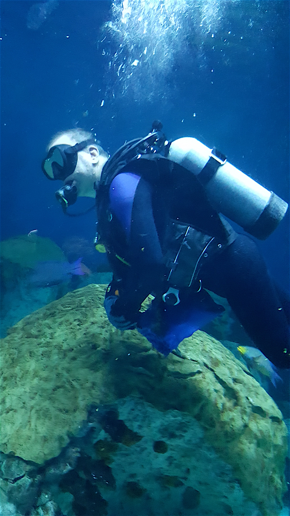 In the "Shark Alley" display, we lost Richard. We thought we had found him when we spotted this diver! But it was just a guy who looked like him, thankfully.