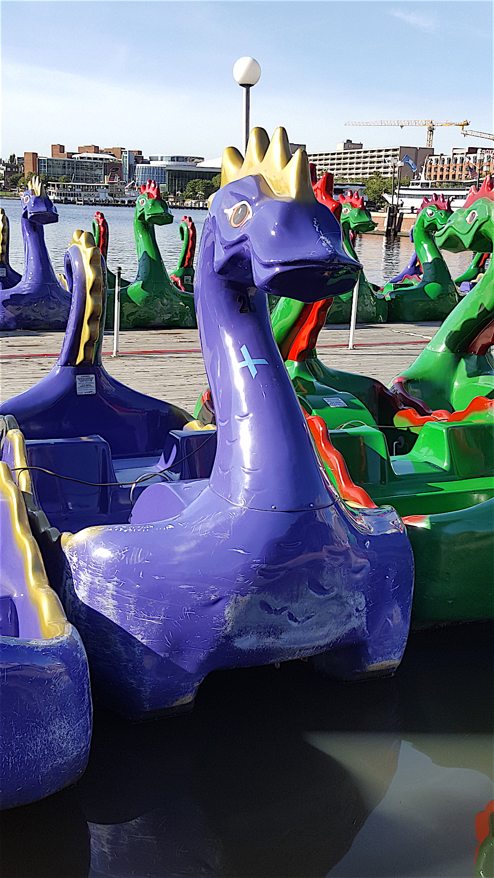 I couldn't talk them into riding the dragon boats.