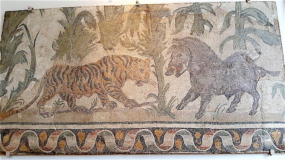 And I really loved their collection of old mosaics.