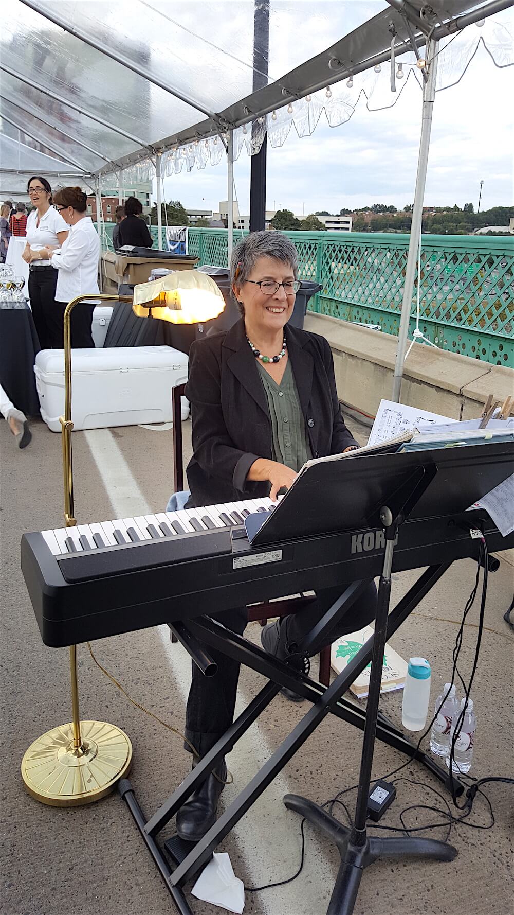 Carol Zinavage Shane tickling the ivories.