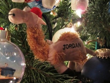 A camel ornament the guys made from a stuffed animal. (There aren't that many Christmas ornaments for sale in Jordan!)