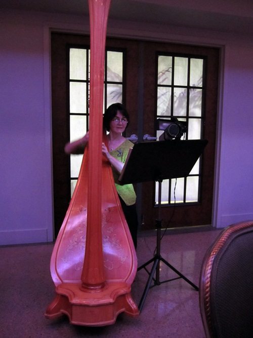 harp-player Elizabeth Farr from the Knoxville Symphony added to the elegance.