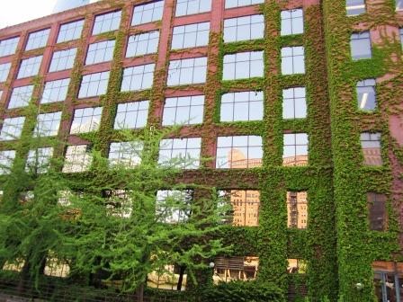 chia-bldg Our guide said locals call this the "chia pet" building because of the ivy! Ha.