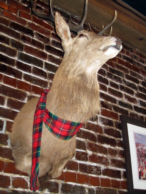 scottish-dear-head I'm not much on taxidermy, but I thought this was appropriate decor.