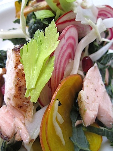 salmon-salad-closeup I believe it warrants a close-up!
