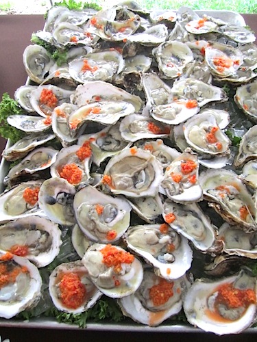blue-points Blue Point oysters-on-the-half-shell served by Tupelo Honey Cafe for lunch under a tent in Krutch Park Extension.