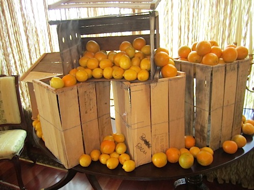 crates1 Crates of oranges and lemons
