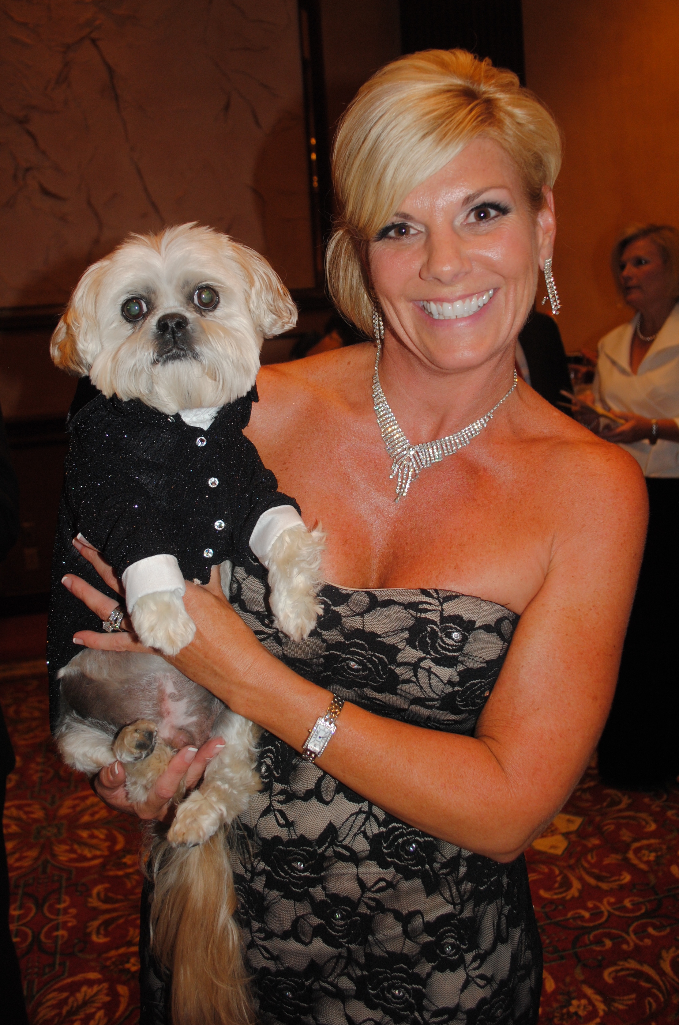 Dressed to the nines for the canines! Blue StreakBlue Streak