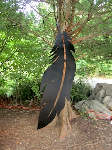 big-feather This big feather was pretty cool!
