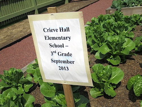 school sign Signs denote which class is in charge of each bed.