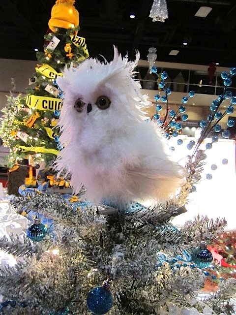 Who can resist a cuddly-looking owl?