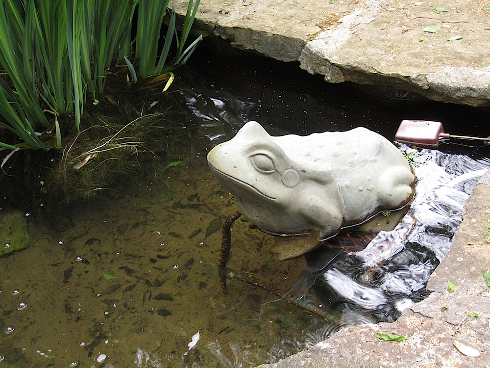 God's Answer to Our Prayers features a lot of frog images. Like this one on the edge of a fountain.