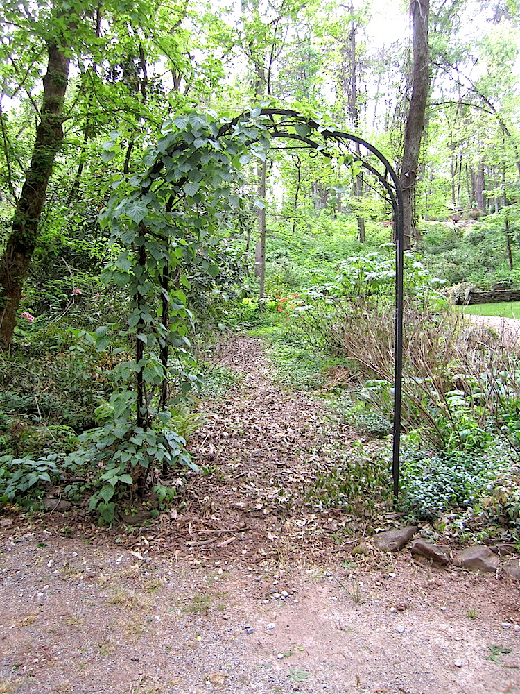 I'll bet this arbor has filled in by now.