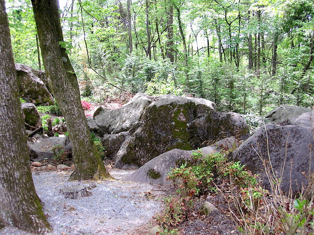 Another view.
