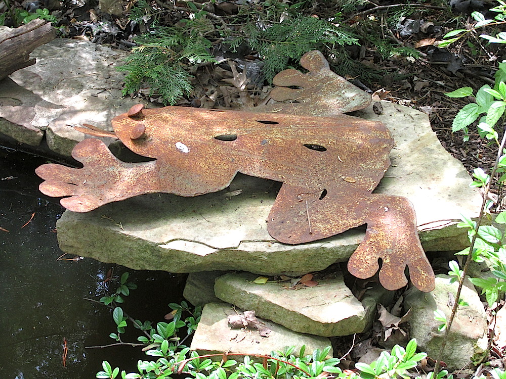 Frogs are everywhere. I like this one.