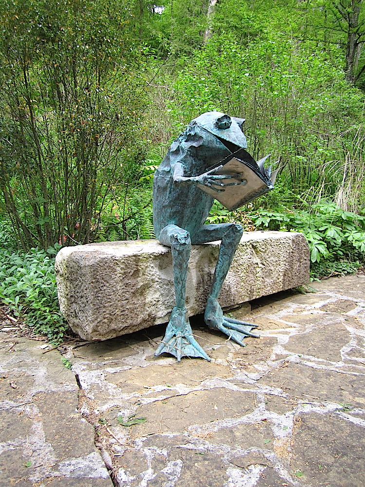 On a more pleasant note, this cute frog was taking a reading break.