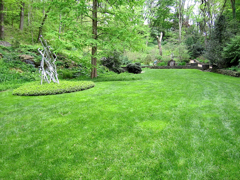 Lawn at the bottom of the garden.