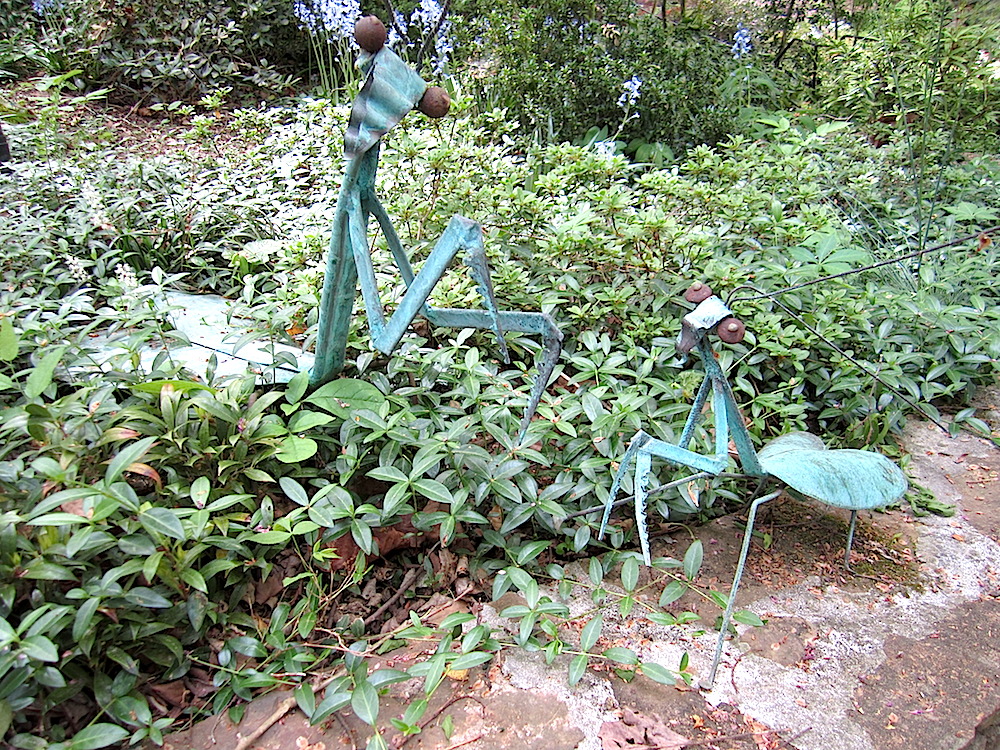 I loved these praying mantises.