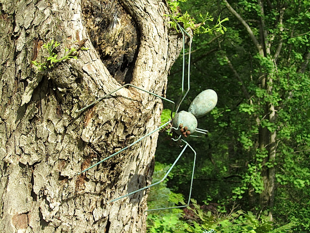 And this spider.
