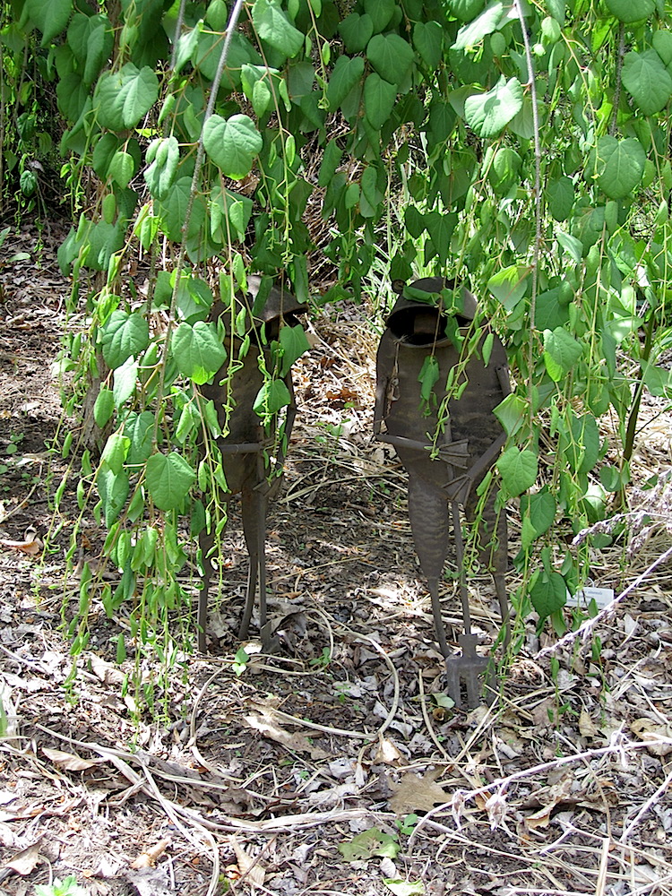 See those frogs standing under there?