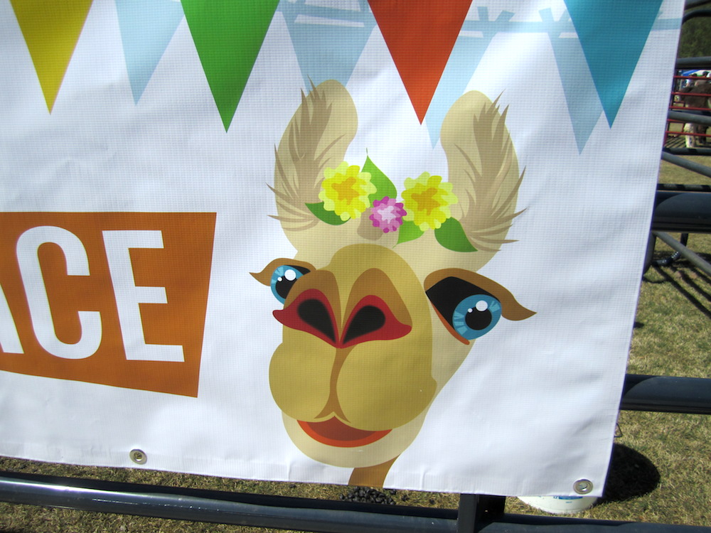 Even the event's signs were adorable.