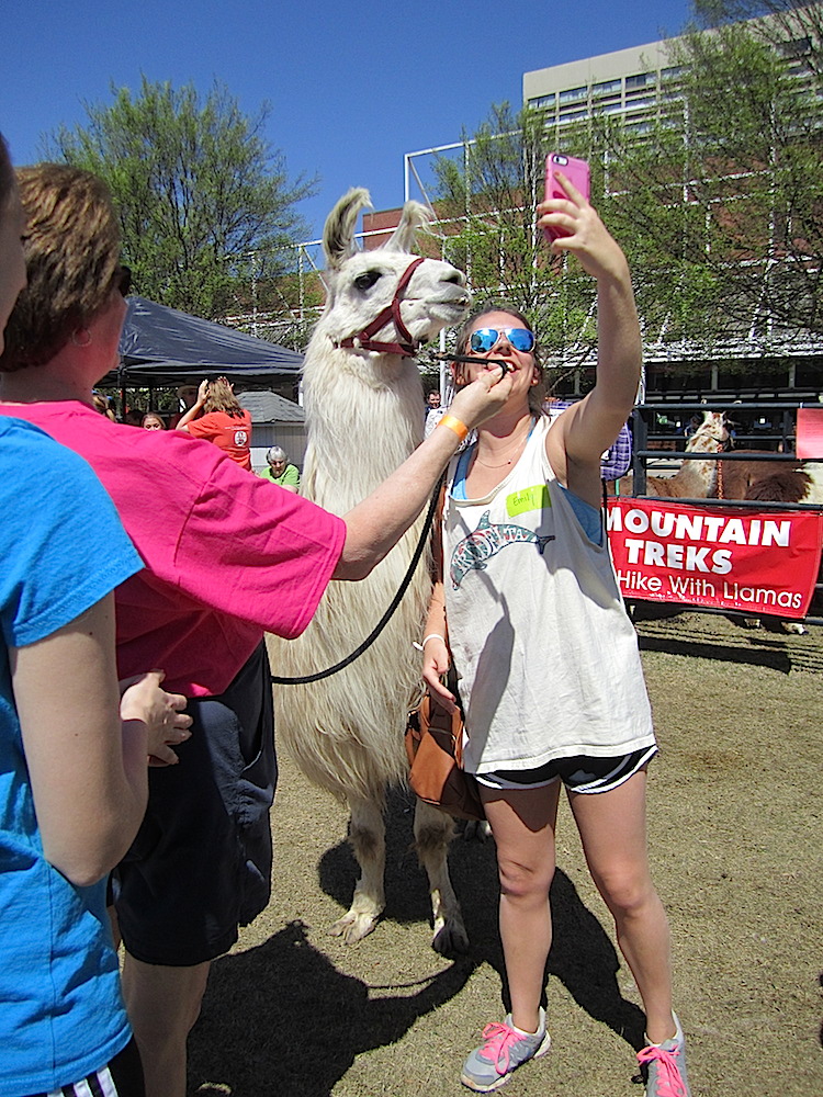 You could take a selfie with a llama.