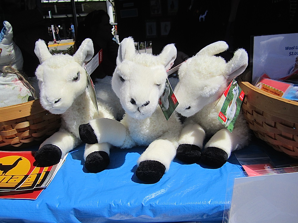 Maybe you'd like a stuffed llama.